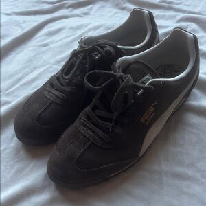Puma Arizona in Brown